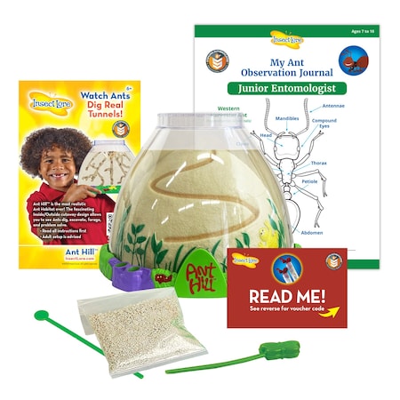 Insect Lore Ant Hill Ant Habitat 5530